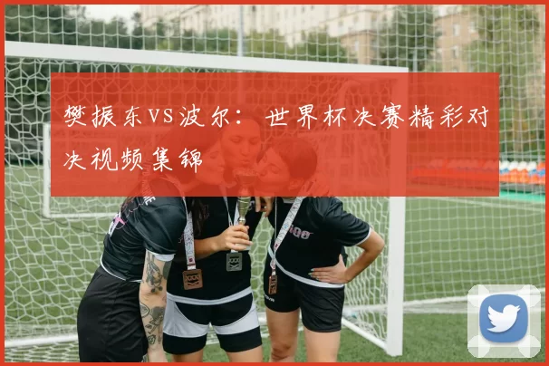 樊振东vs波尔：世界杯决赛精彩对决视频集锦