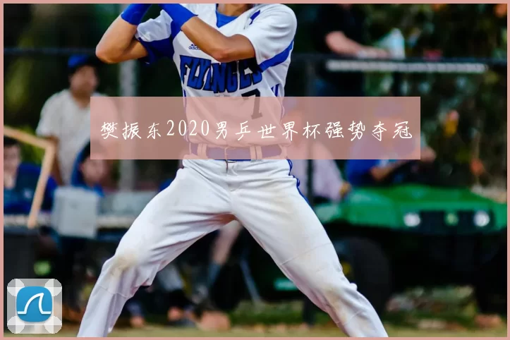 樊振东2020男乒世界杯强势夺冠