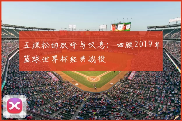 五棵松的欢呼与叹息:回顾2019年篮球世界杯经典战役