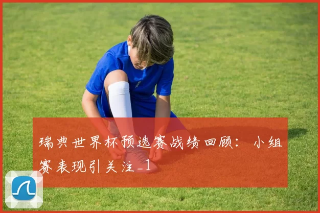 瑞典世界杯预选赛战绩回顾:小组赛表现引关注_1