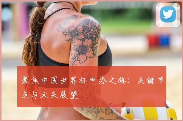 聚焦中国世界杯申办之路:关键节点与未来展望