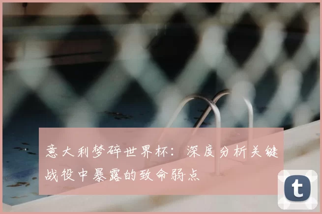 意大利梦碎世界杯:深度分析关键战役中暴露的致命弱点