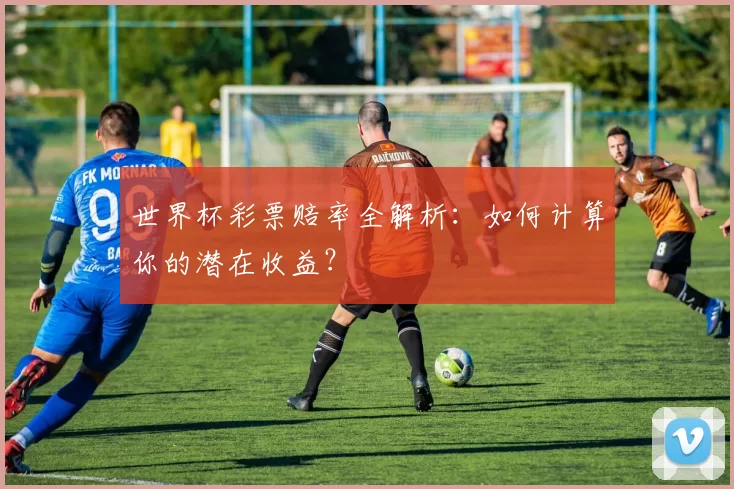 世界杯彩票赔率全解析:如何计算你的潜在收益?