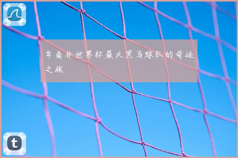 年南非世界杯最大黑马球队的奇迹之旅