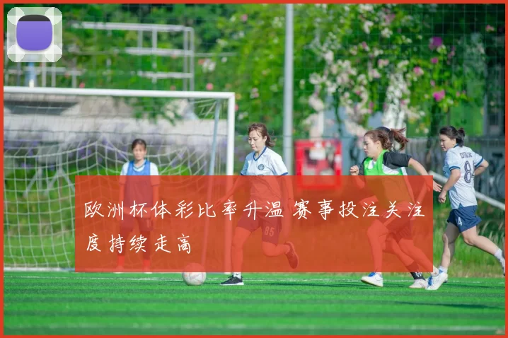 欧洲杯体彩比率升温 赛事投注关注度持续走高