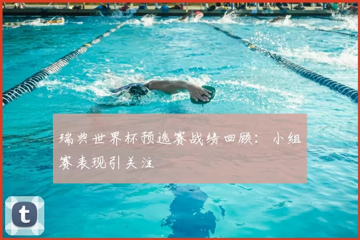 瑞典世界杯预选赛战绩回顾:小组赛表现引关注