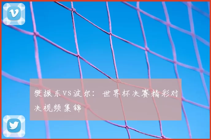 樊振东vs波尔：世界杯决赛精彩对决视频集锦
