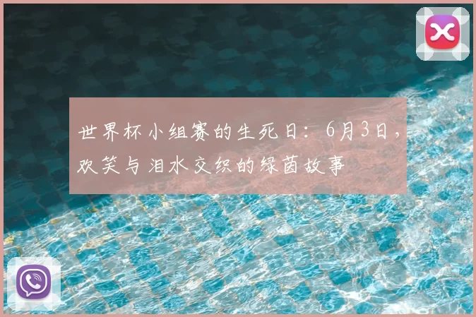 世界杯小组赛的生死日：6月3日，欢笑与泪水交织的绿茵故事