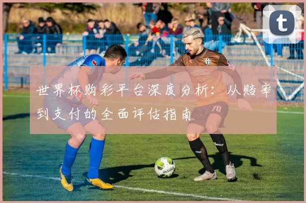 世界杯购彩平台深度分析：从赔率到支付的全面评估指南